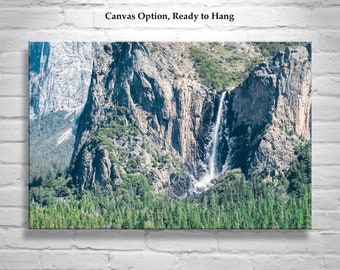 Bridal Veil Falls Photograph with Black and White Forest at Yosemite Valley