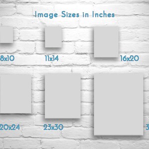 Large Saguaro Cactus Art Photography | Arizona Desert Wall Decor for Home or Office image 8
