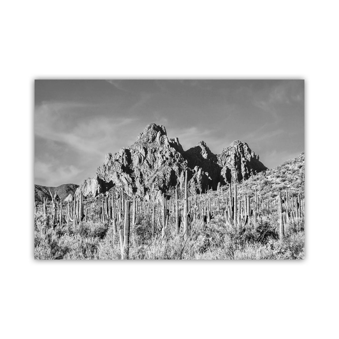 Arizona Desert Landscape Art Print in Black and White With Saguaro ...