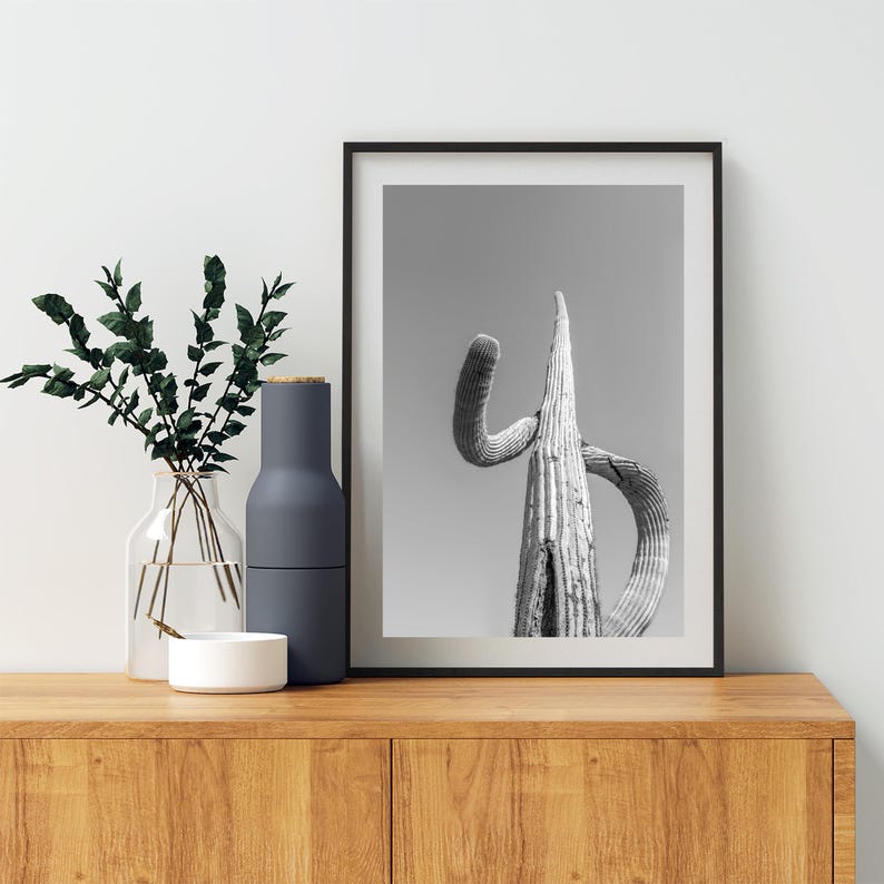May include: Black and white photograph of a tall, slender cactus with a unique, curved shape. The cactus is the main focus of the image, set against a plain background.