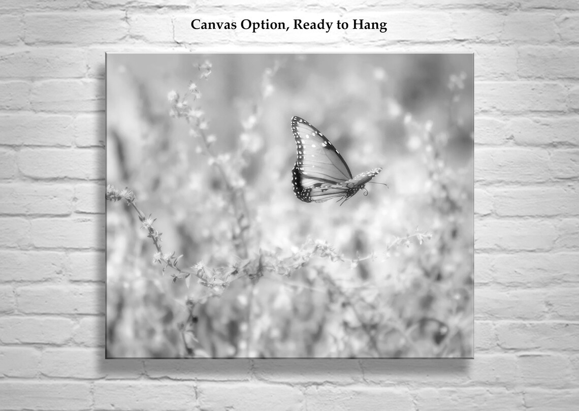 Black and White Butterfly Wall Art Photography With Flying Butterfly Etsy