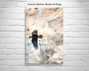 Raven Bird Art Photography Print in Arizona Desert Canyon