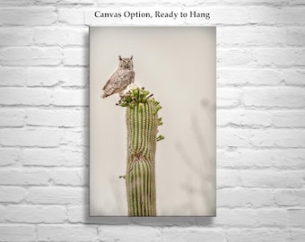 Owl Photography Print with Desert Cactus Southwest Themed Wall Decor in Sepia Tone