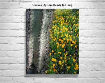 Picture for Home in Southwestern USA Style with Cactus and Wildflowers at Picacho Peak State Park