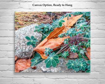 Framed Wall Art with Elegant Autumn Leaves