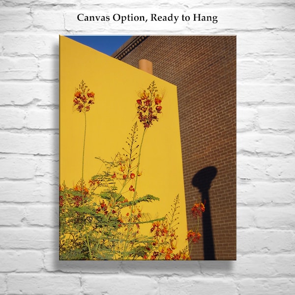 Southwest Decor with Tucson Barrio Urban Art Print with Mexican Bird of Paradise Flower