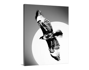 Hawk Art Photography Print with Bird in Flight in Black and White