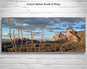 Desert Panoramic Art Print at Tucson Arizona by Murray Bolesta