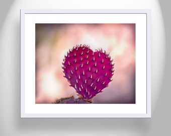 Romantic Art Print with Heart in Nature Santa Rita Prickly Pear Cactus