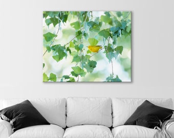 Warbler Bird Photo in Spring Nature Cottonwood Tree as Living Room Wall Art Print