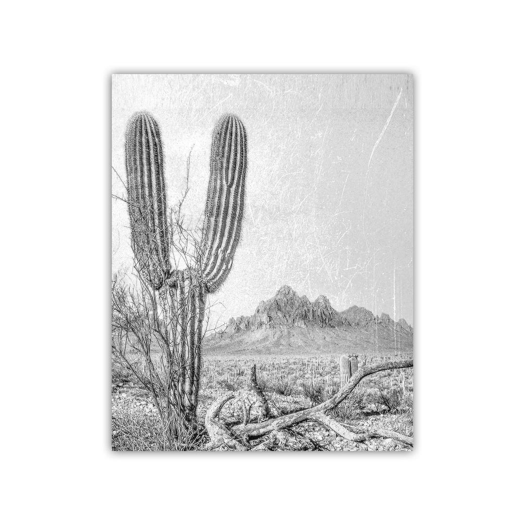 Cactus Art Print in Black and White | Tucson Arizona Landscape | Desert ...