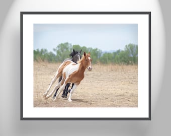 Home Decor Horse Picture with Frisky Ranch Horses