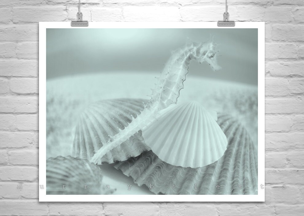 Arte de la pared del caballo de mar decoración de la pared | Etsy