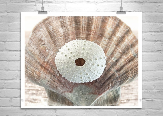 Seashell Decor Bathroom Art Sea Urchin Surreal Art Print Etsy