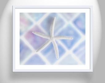 Pale Blue Sea Shell Art Print with Sea Star for Bathroom or Home in Pastel Blue