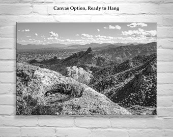 Arizona Landscape Art Print for Home with Southwestern USA Desert in Black and White