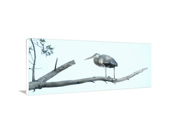 Great Blue Heron Bird Art Photography in Wide Panorama as Elegant Minimalist Wall Decor