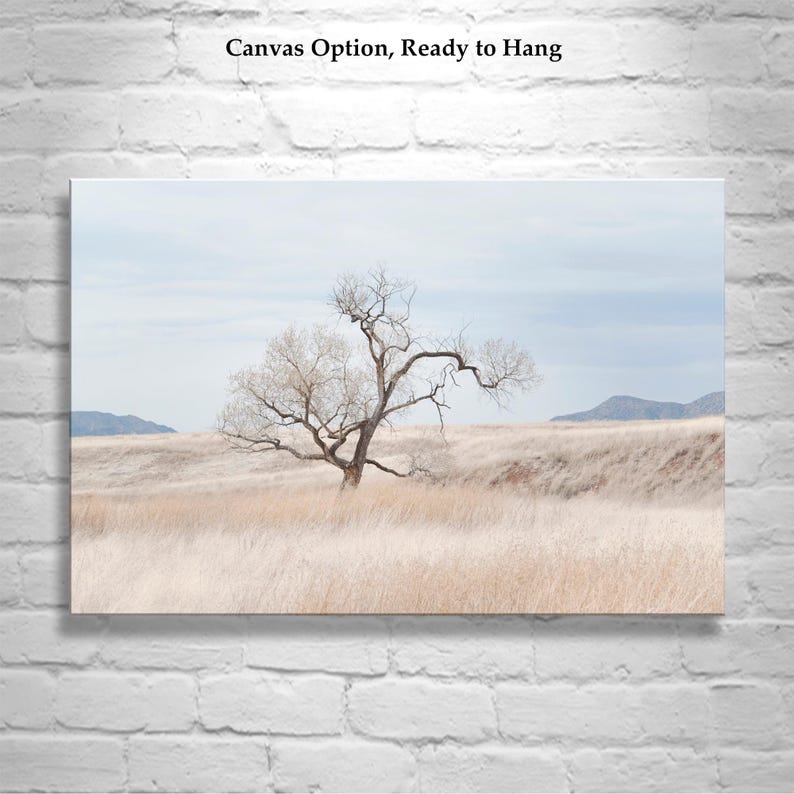 Landscape Photography Print of Southwest Prairie Grasslands Etsy's Pick image 5