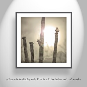 Horned Owl Art Print | Sonoran Desert Sunset Landscape, Square Orientation image 5