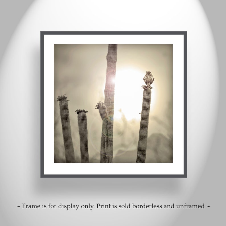 Horned Owl Art Print | Sonoran Desert Sunset Landscape, Square Orientation image 5