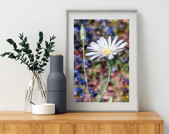 Floral Botanical Wall Decor for Home with Elegant Wildflower