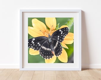 Bright Vivid Butterfly Art Print with Yellow Wildflower