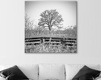 Black and White Art for Home with Surreal Winter Frost Cottonwood Tree Print