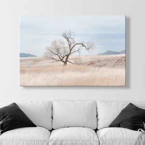 Landscape Photography Print of Southwest Prairie Grasslands Etsy's Pick image 6