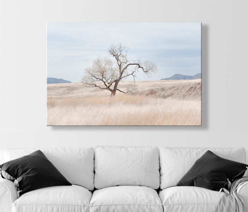 Landscape Photography Print of Southwest Prairie Grasslands Etsy's Pick image 6