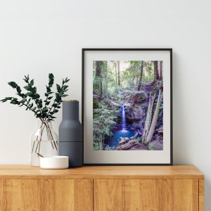 Big Basin California Redwood Forest Waterfall Art Print by MurrayBolesta image 3