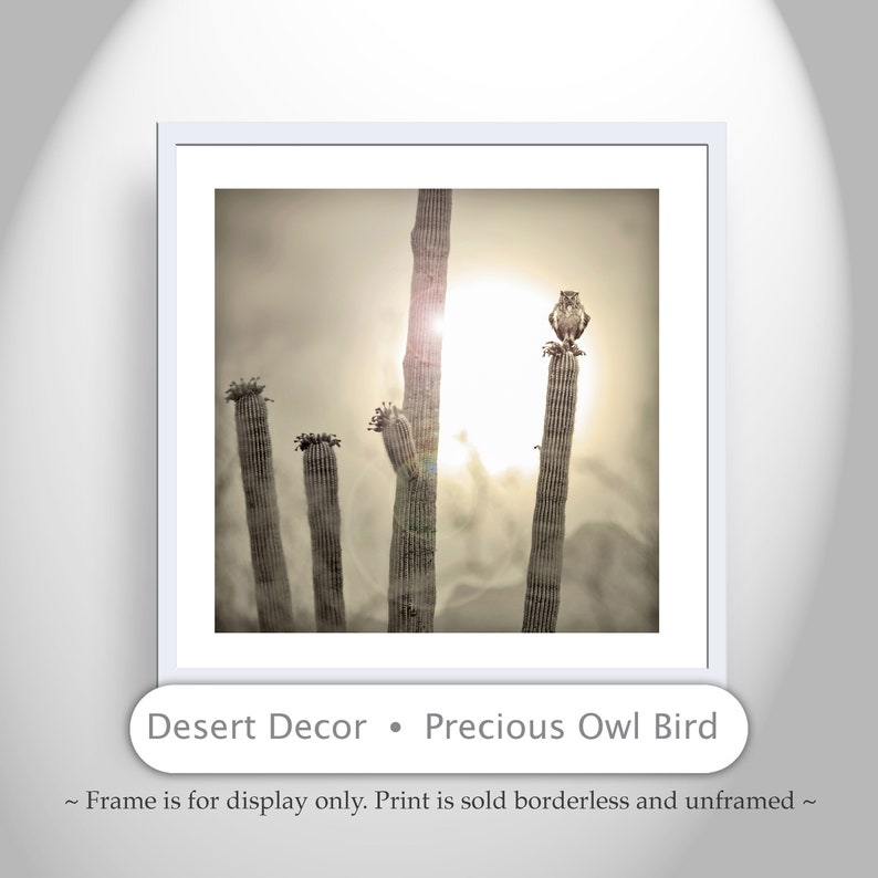 Horned Owl Art Print | Sonoran Desert Sunset Landscape, Square Orientation image 2