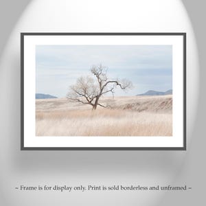 Landscape Photography Print of Southwest Prairie Grasslands Etsy's Pick image 3