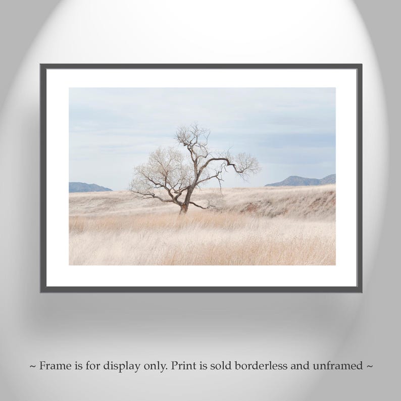 Landscape Photography Print of Southwest Prairie Grasslands Etsy's Pick image 3