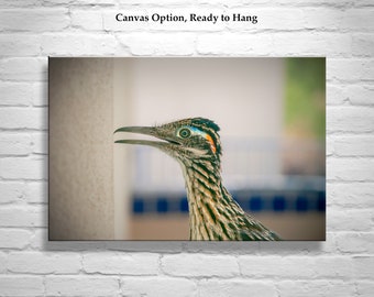 Desert Roadrunner Bird Art Print