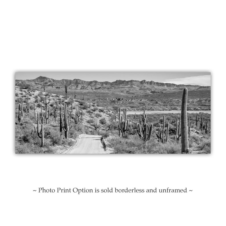 Desert Panoramic Art with Saguaro Cactus in Tucson Arizona Vivid Black & White