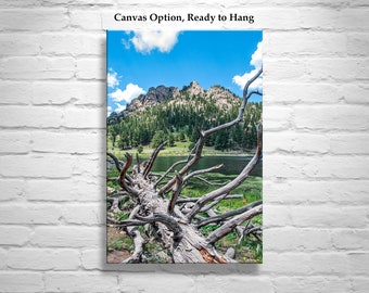 Lily Lake Colorado Rocky Mountain National Park Landscape Photography