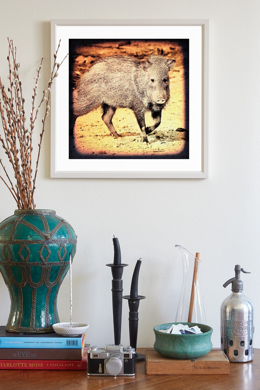 Javelina Art Print Arizona Wildlife Photography - Etsy