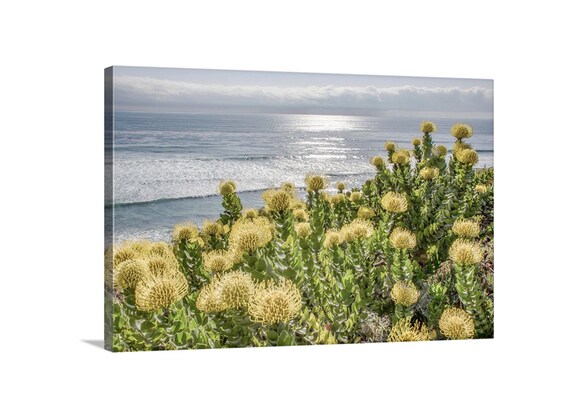 San Diego set of 2 Large 10 x 16 Ocean beach and woody wall decor wood plaque print.