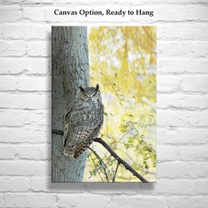 Owl Wall Art Photography with Great Horned Owl Bird in Autumn image 3