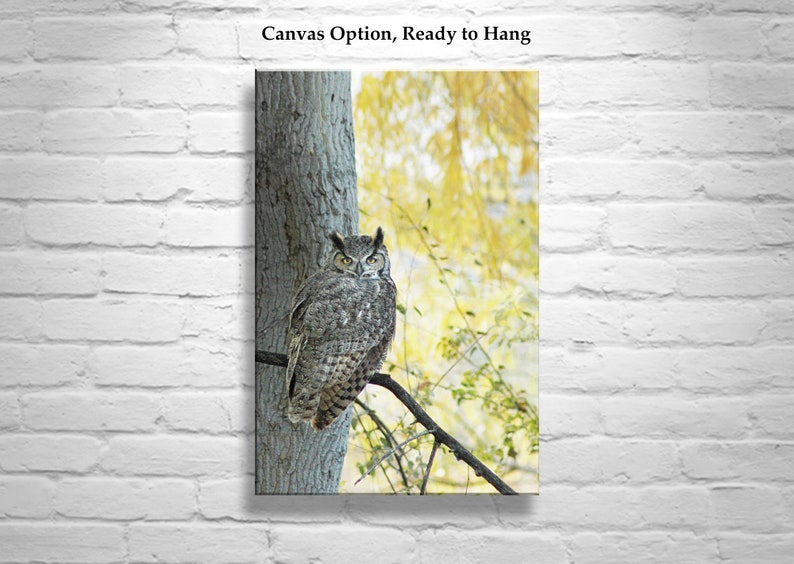 Owl Wall Art Photography with Great Horned Owl Bird in Autumn image 3