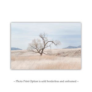 Landscape Photography Print of Southwest Prairie Grasslands Etsy's Pick image 2