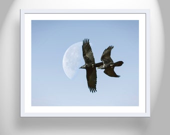 Flying Raven Bird Art Print for Home with Moon