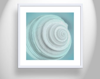 Pale Blue Seashell Photography as Wall Decor for Bathroom or Home
