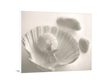 Sea Urchin Seashell Photo as Bathroom or Home Wall Art in Ivory Color