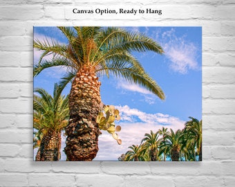 Wall Decor in Southwestern USA Theme with Cactus Growing from Palm Tree