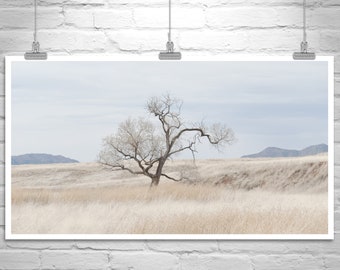 Landscape Print of Southwest Prairie Grasslands in Limited Edition