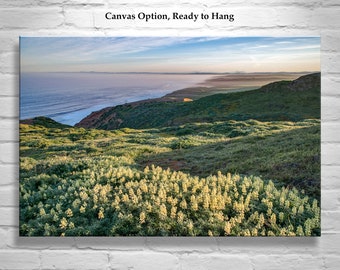 Point Reyes Marin County Art at California Coast with Wildflowers