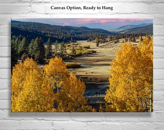 Quaking Aspen Western Landscape Art Print on Framed Canvas as Fall Photography