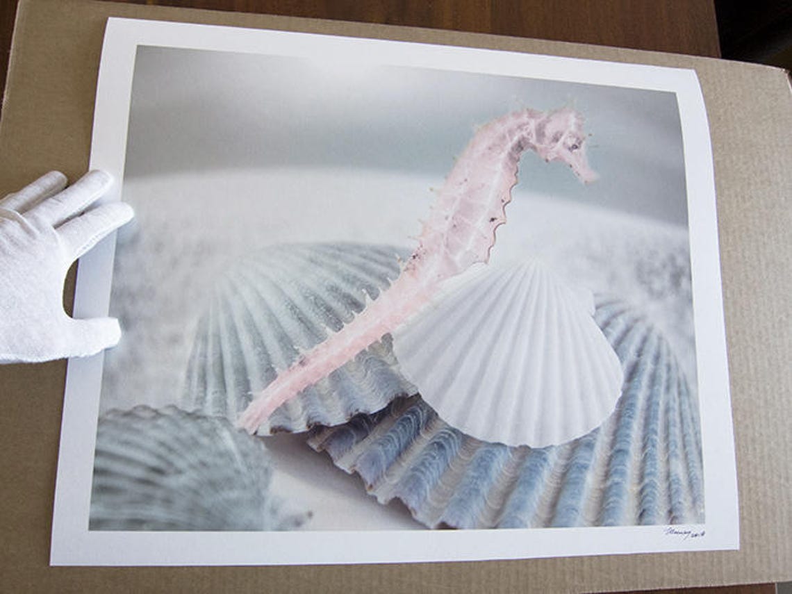 Arte de la pared del caballo de mar decoración de la pared | Etsy