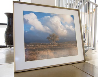 Large Framed Arizona Landscape Photograph of Wetlands Cienega Wildlife Refuge with Cottonwood Tree